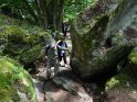 2014-06-05 15-36-22 Foret de Fontainebleau DLe